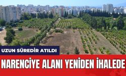 Narenciye Alanı Yeniden İhalede! Uzun Süredir Atıl Durumdaydı