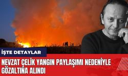 Nevzat Çelik yangın paylaşımı nedeniyle gözaltına alındı