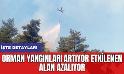 Orman yangınları artıyor etkilenen alan azalıyor