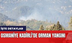 Osmaniye Kadirli'de orman yangını