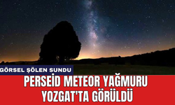 Perseid Meteor Yağmuru Yozgat'ta görüldü