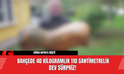 Bahçede Dev Sürpriz! 40 Kilogram 110 santimetre