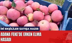 Adana Feke'de Erken Elma Hasadı: İri Ekşililer Satışa Hazır