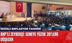 AKPli Zeybekçi'den İddialı Enflasyon Tahmini