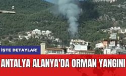 Antalya Alanya'da orman yangını