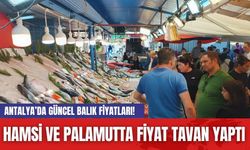 Antalya’da güncel balık fiyatları! Hamsi ve palamutta fiyat tavan yaptı