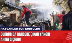 Burdur'da Bahçede Çıkan Yangın Ahıra Sıçradı