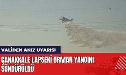 Çanakkale Lapseki Orman Yangını Söndürüldü