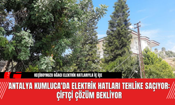 Antalya Kumluca'da Elektrik Hatları Tehlike Saçıyor: Çiftçi Çözüm Bekliyor