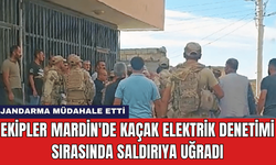 Ekipler Mardin'de Kaçak Elektrik Denetimi Sırasında Saldırıya Uğradı