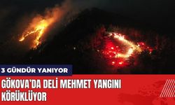 Gökova 3 Gündür Yanıyor! Deli Mehmet Yangını Körüklüyor