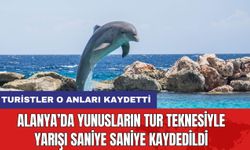 Alanya’da Yunusların Tur Teknesiyle Yarışı Saniye Saniye Kaydedildi