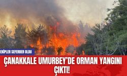 Çanakkale Umurbey’de Orman Yangını Çıktı! Ekipler Seferber Oldu