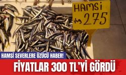 Hamsi Severlere Üzücü Haber! Fiyatlar 300 TL’yi Gördü