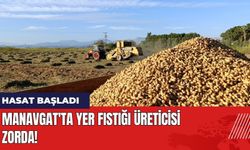 Hasat Başladı: Manavgat'ta Yer Fıstığı Üreticisi Zorda