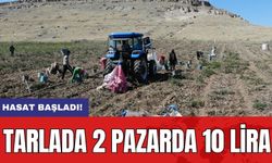 Hasat başladı: Tarlada 2 pazarda 10 lira