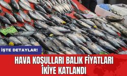 Hava Koşulları Balık Fiyatları İkiye Katlandı