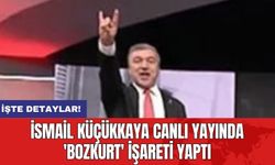 İsmail Küçükkaya canlı yayında 'bozkurt' işareti yaptı