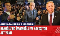 Kaboğlu'nun Anayasa Çıkışına İmamoğlu ve Yavaş'tan Jet Yanıt