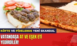 Köfte Ve Pidelerde Yeni Skandal! Vatandaşa At ve Eşek Eti Yedirdiler