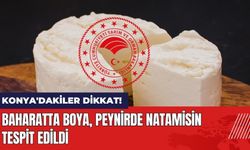 Konya'da Baharatta Boya Peynirde Natamisin Çıktı