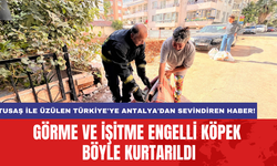 TUSAŞ ile üzülen Türkiye'ye Antalya'dan sevindiren haber! Görme ve işitme engelli köpek böyle kurtarıldı