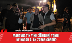 Manavgat'ın Yine Ciğerleri Yandı! Ne Kadar Alan Zarar Gördü?