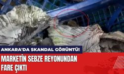 Marketin Sebze Reyonundan Fare Çıktı