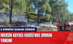 Mersin Kayacı Vadisi'nde Orman Yangını