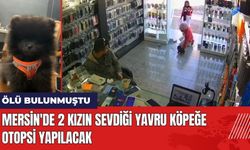 Mersin'de 2 Kızın Sevdiği Yavru Köpeğe Otopsi Yapılacak