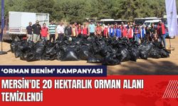 Mersin'de 20 Hektarlık Orman Alanı Temizlendi