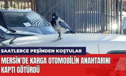 Mersin'de Karga Otomobilin Anahtarını Kaptı Götürdü