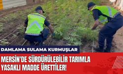 Mersin'de sürdürülebilir tarımla yasaklı madde ürettiler!