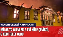 Milas'ta Yangın 2 Evi Küle Çevirdi! 6 Kedi Telef Oldu