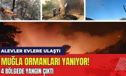 Muğla Ormanları Yanıyor! 4 Bölgede Yangın Çıktı: Alevler Evlere Ulaştı