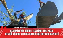 Osmaniye'nin Kadirli İlçesinde Feci Kaza: Kestiği Ağacın Altında Kalan Kişi Hayatını Kaybetti