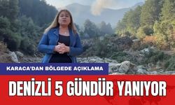 Denizli 5 Gündür Yanıyor! Milletvekili Karaca'dan Bölgede Açıklama