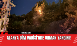 Alanya Dim Vadisi'nde Orman Yangını!