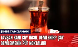 Tavşan Kanı Çay Nasıl Demlenir? Çay Demlemenin Püf Noktaları