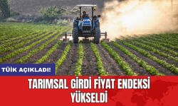 TÜİK açıkladı! Tarımsal girdi fiyat endeksi yükseldi