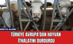 Türkiye Avrupa'dan Hayvan İthalatını Durdurdu