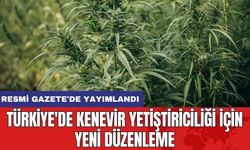 Türkiye'de Kenevir Yetiştiriciliği İçin Yeni Düzenleme