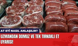 Uzmandan Domuz ve Tek Tırnaklı Et Uyarısı! At Eti Nasıl Anlaşılır?