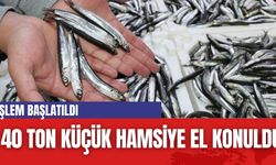 40 ton küçük hamsiye el konuldu