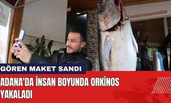 Adana'da İnsan Boyunda Orkinosu Gören Maket Sandı