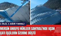 Mersin Akkuyu Nükleer Santrali'nde Uçan Çatı İşçilerin Üzerine Düştü!