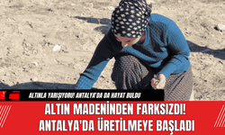 Altın Madeninden Farksızdı! Antalya'da Üretilmeye Başladı