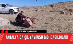 Antalya’da Çil Yavrusu Gibi Dağıldılar!