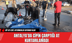 Antalya’da Cipin Çarptığı At Kurtarılamadı