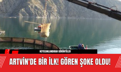 Artvin'de Bir İlk! Gören Şoke Oldu!